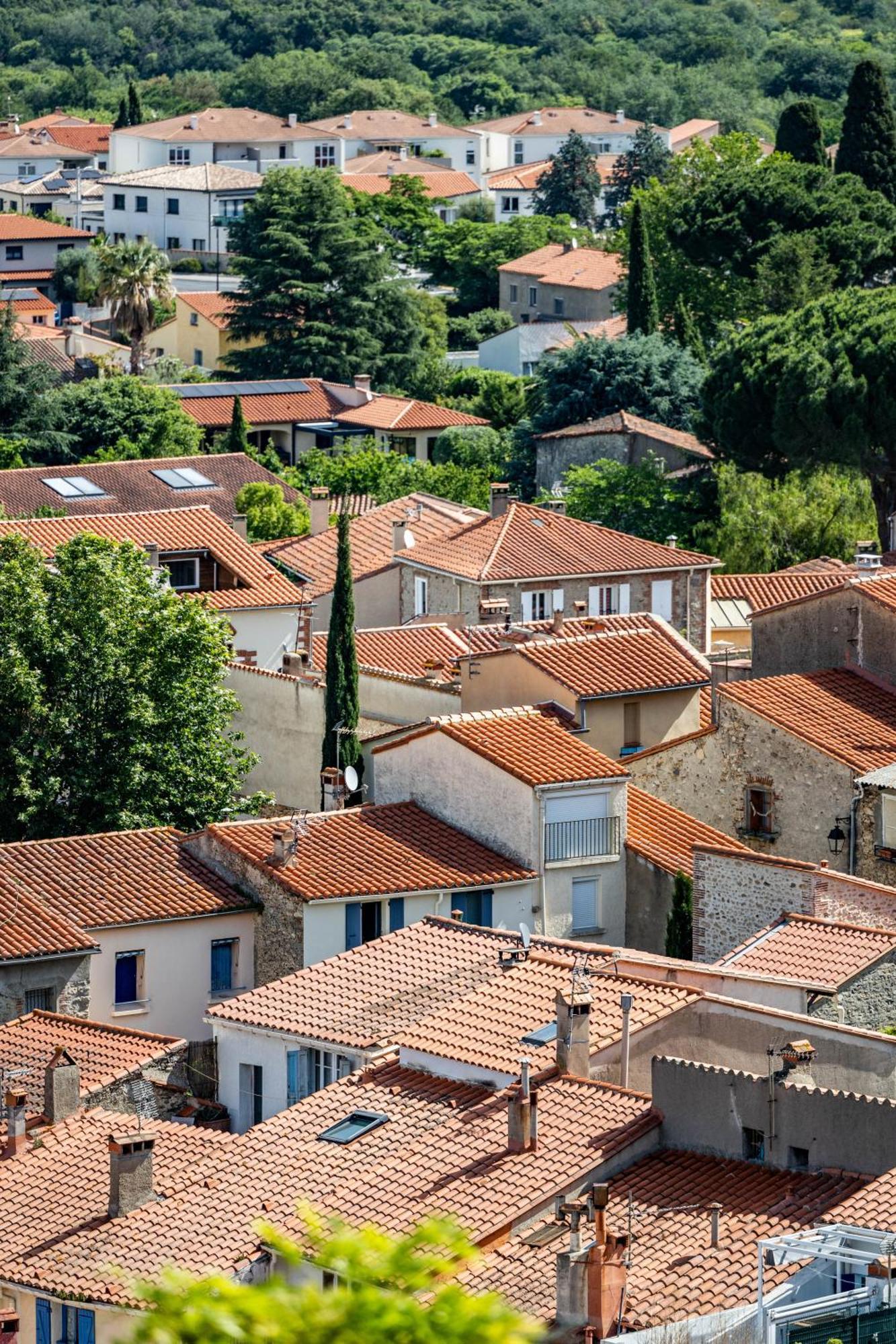 Vue 180°, Superbe Appartement Cocooning ! Laroque-des-Albères エクステリア 写真