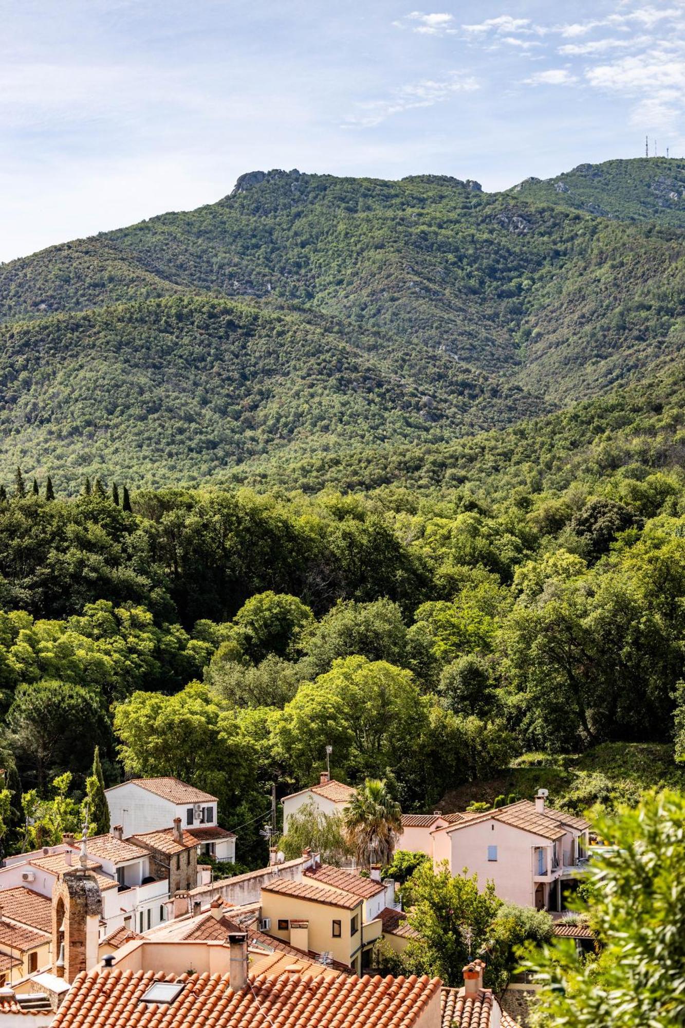 Vue 180°, Superbe Appartement Cocooning ! Laroque-des-Albères エクステリア 写真